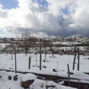 Paesaggio innevato