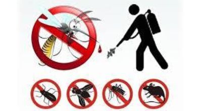 disinfestazione